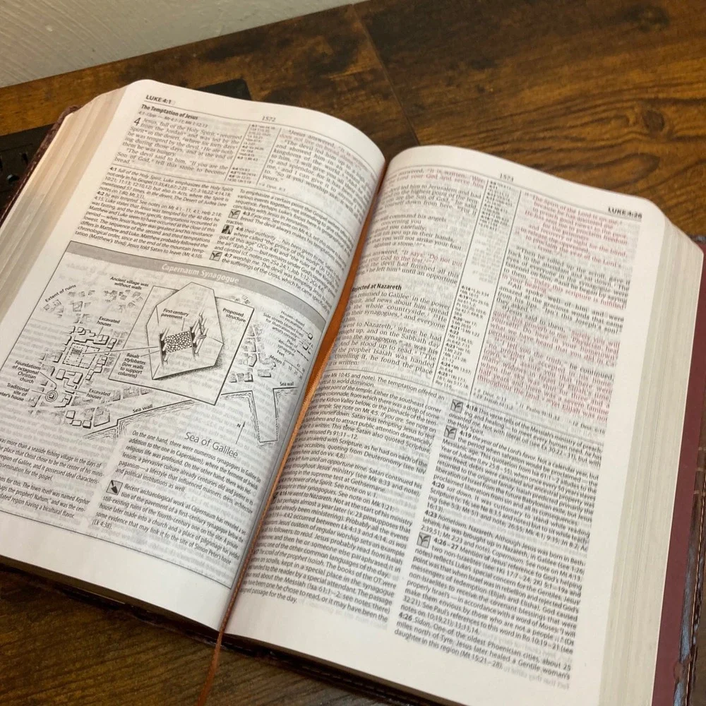 Zondervan NIV Study Bible 2008 Update Brown Italian Duo-Tone Very Distressed